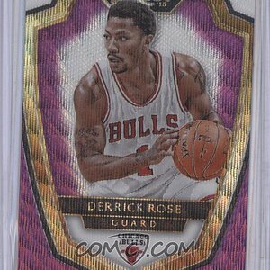 Derrick-Rose (15).jpg