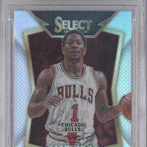 Derrick-Rose (33)  Select.jpg