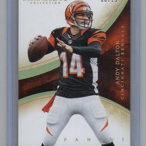 2014 Panini Immaculate, Andy Dalton, 06 of 25.jpg