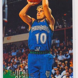 1996-97 Fleer European #248 Shane Heal.jpeg