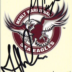 Sea Eagles logo.jpg