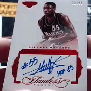 Dikembe Ruby 11-15.png