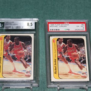 Michael Jordan Fleer Sticker.JPG