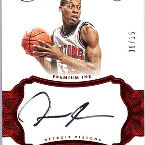 Flawles Premium Ink = Dennis Rodman 09-15.jpg