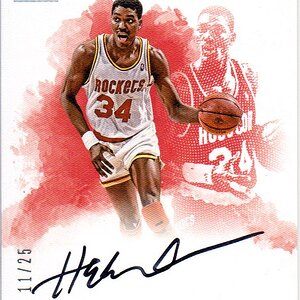 Indelible Ink = Hakeem Olajuwon 11-25.jpg