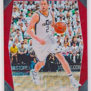 2017-18 Panini Prizm Prizms Ruby Wave #113 Joe Ingles.jpeg