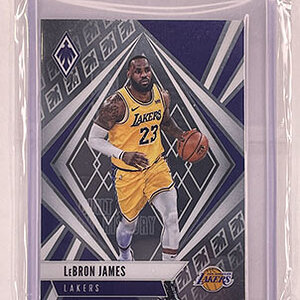 Subset - Phoenix - Chronicles - 2020-21 - LeBron James.jpg