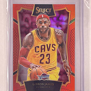 Colour Match - Select - 2015-16 - Red Prizm - LeBron James.jpg