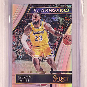 Insert - Slash & Dash - Select - 2018-19 - Prizm - LeBron James.jpg