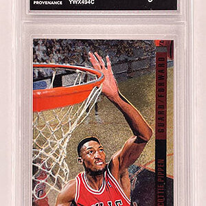 Insert - Behind the Glass - Upper Deck Special Edition - 1993-94 - Scottie Pippen.jpg