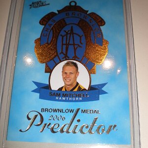 2006 Brownlow Predictor Mitchell.jpg