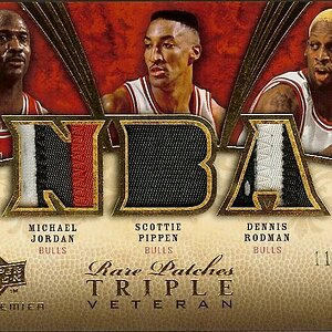 2008-09 UD Premier Rare Patches Triple Veteran 11of15.jpg