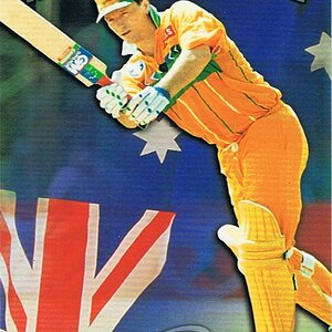 Steve Waugh Retro.jpg