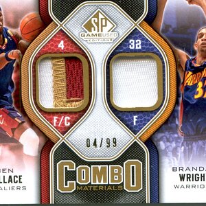 Ben Wallace Brandon Wright Dual Patch jersey number.jpg