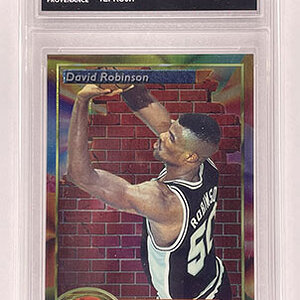 Subset - Midwest's Finest - Finest - 1993-94 - David Robinson.jpg