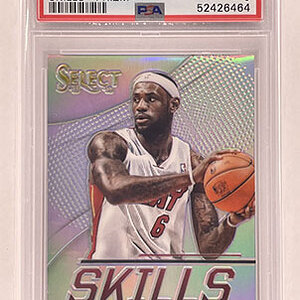 Insert - Skills - Select - 2013-14 - Prizm - LeBron James.jpg