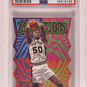 Insert - Zensations - Z-Force - 1997-98 - David Robinson.jpg