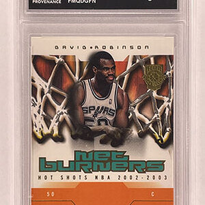 Insert - Net Burners - Fleer Hot Shots - 2002-03 - David Robinson.jpg