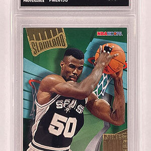 Insert - Slamland - Hoops - 1995-96 - David Robinson.jpg