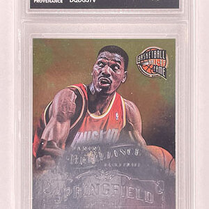 Insert - Springfield - Brilliance - 2012-13 - Hakeem Olajuwon.jpg