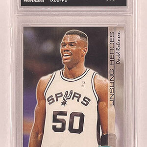 Subset - Unsung Heroes - Fleer - 2000-01 - David Robinson.jpg