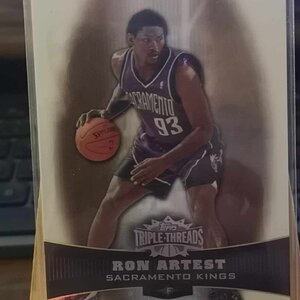 Artest R (15).jpg