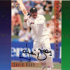 1994-95 Futera Signature Series 6 David Boon 313of1000.jpg