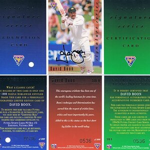 David Boon 9495 Sig Set-tile.jpg