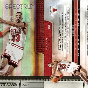 2009-10 Absolute Memorabilia Spectrum 22of25.jpg