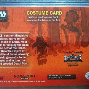 Ewok - Costume card - Back.JPG