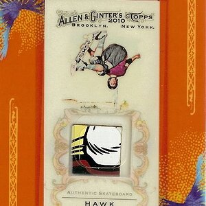 2009-10 Allen & Ginters Tony Hawk Skateboard Relic.jpg