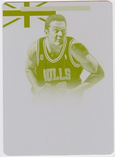 2013-14 NATIONAL TREASURE PRINTING PLATE YELLOW 1:1.jpeg