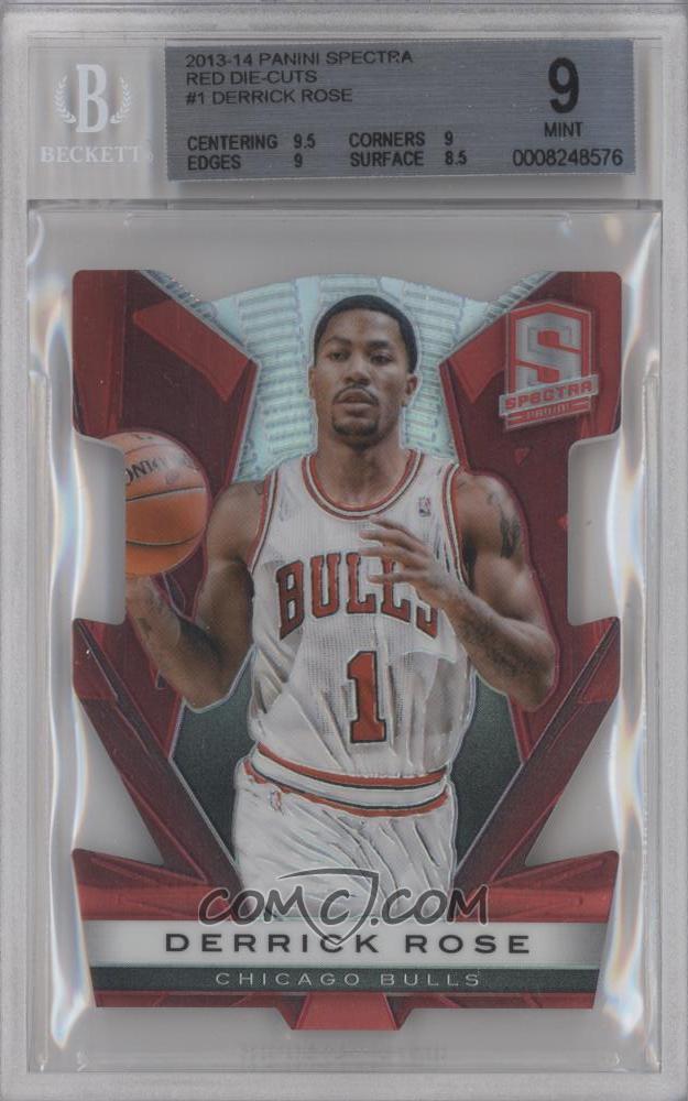 Derrick-Rose (12).jpg