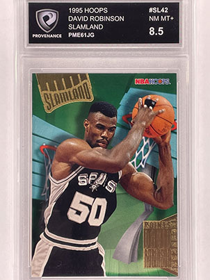 Insert - Slamland - Hoops - 1995-96 - David Robinson.jpg