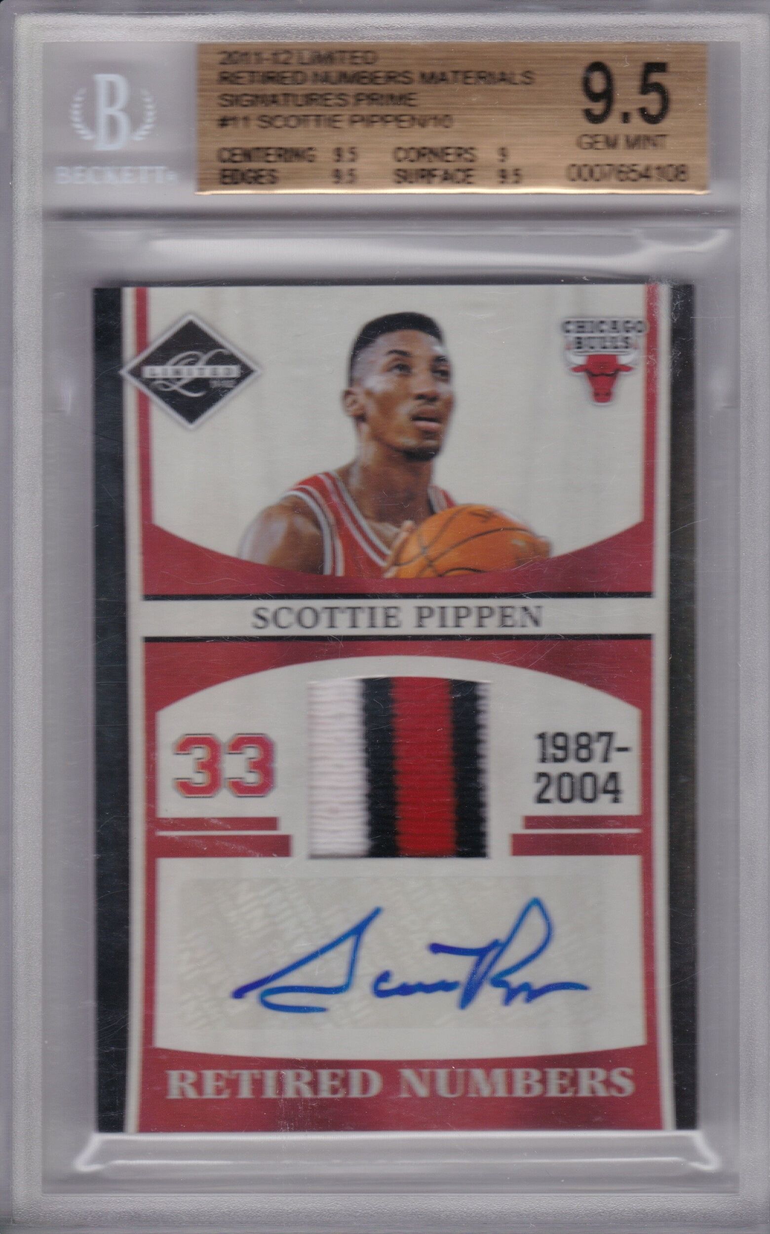 Pippen 06-10.jpg