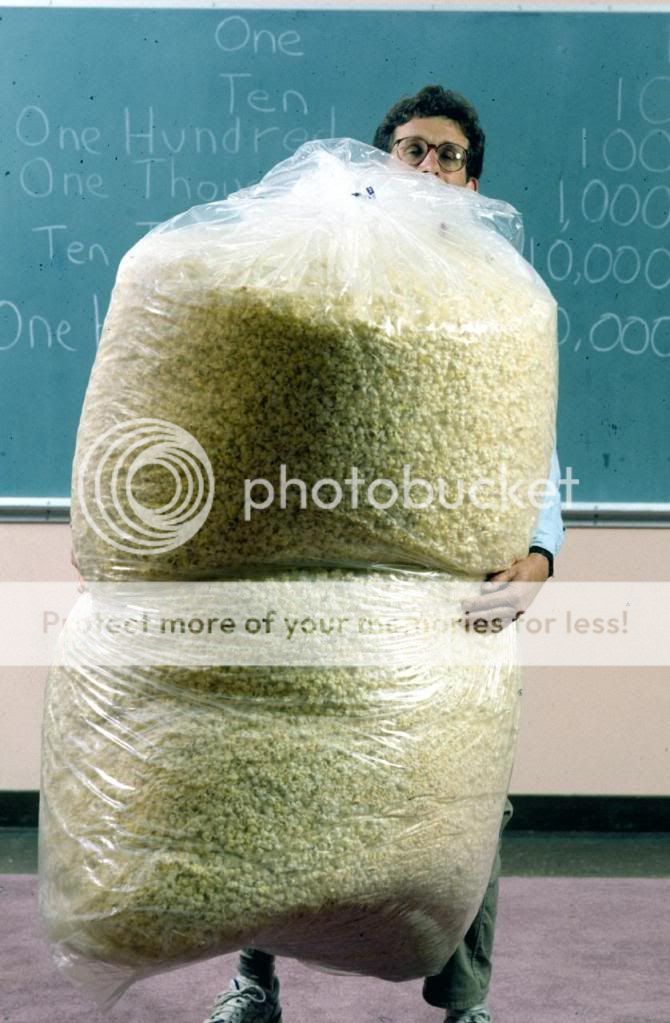 PopcornHugeBags.jpg