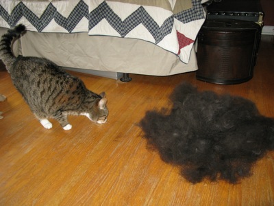 cat-vs-hairball.jpg